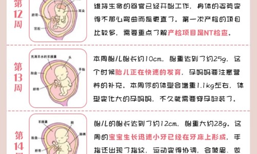 【秋天孩子吃什么菜去火】孩子春秋上火吃什么药 - 儿童秋季去火的食物网