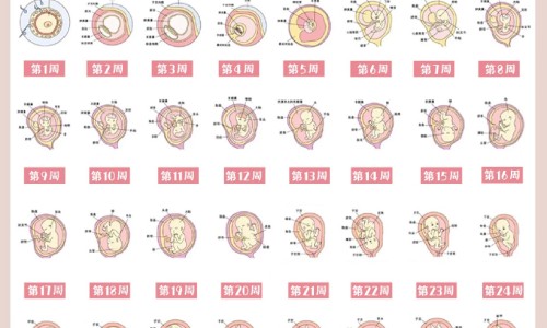 【秋天孩子吃什么菜去火】孩子春秋上火吃什么药 - 儿童秋季去火的食物网