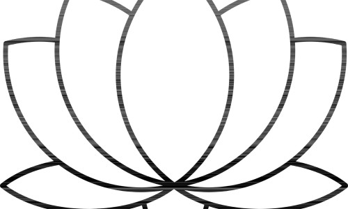 孩子秋季润燥食谱大全-【秋天孩子吃什么菜去火】孩子春秋上火吃什么药 - 儿童秋季去火的食物网